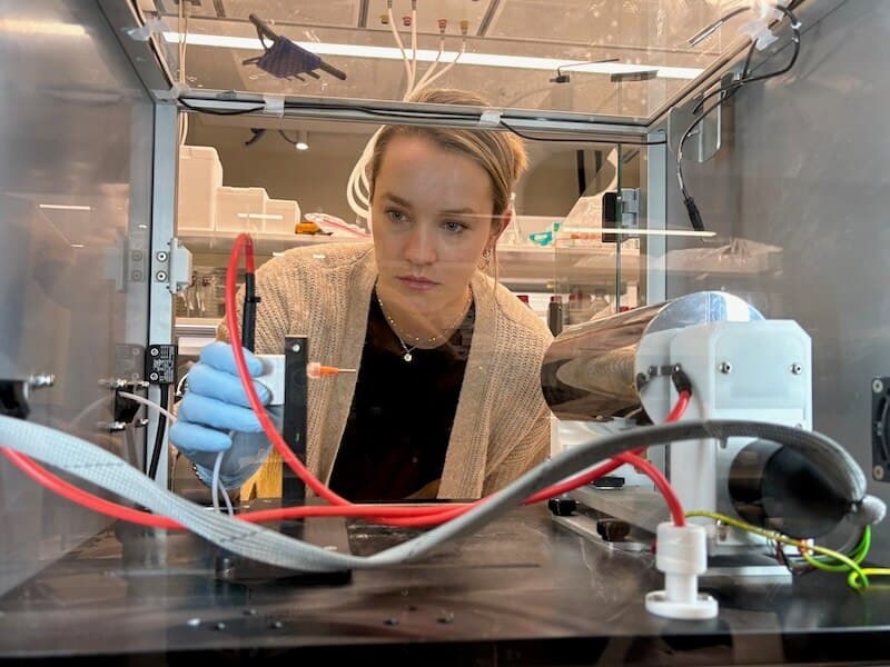 Becca Thomson Tissue Engineering Lab