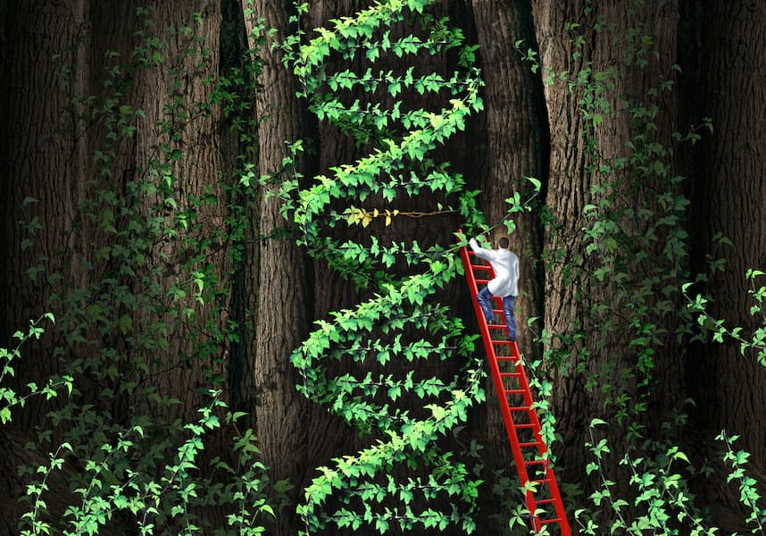 DNA tree