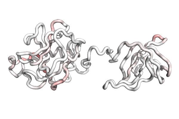 Treatment for Drug-Resistant Bacterial Infections