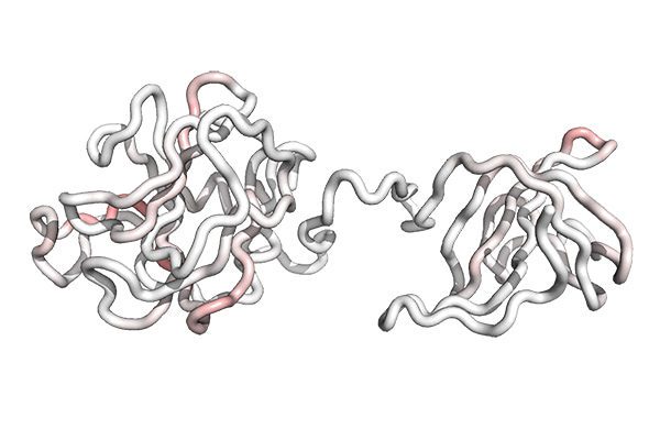 Treatment for Drug-Resistant Bacterial Infections