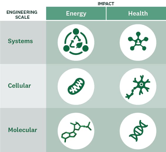 Systems, cellular, and molecular engineering each have an impact on energy and health.