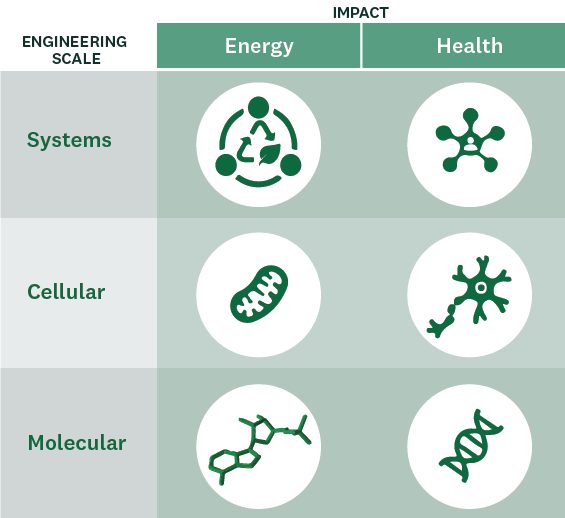 Systems, cellular, and molecular engineering each have an impact on energy and health.