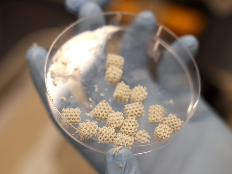 Hixon biomaterial scaffold