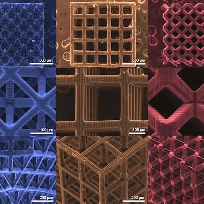 Colorized image of 3D lattice structures