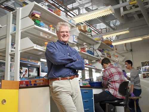Lee Lynd in the Lynd Lab with two other researchers