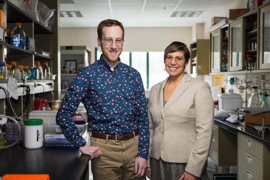 Matthew Slein and Iara Backes