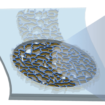 Nanomesh elastic microelectrodes