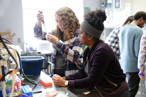 Two people are engaged in a laboratory experiment, with one holding up a vial to observe the contents closely, while the other watches intently.