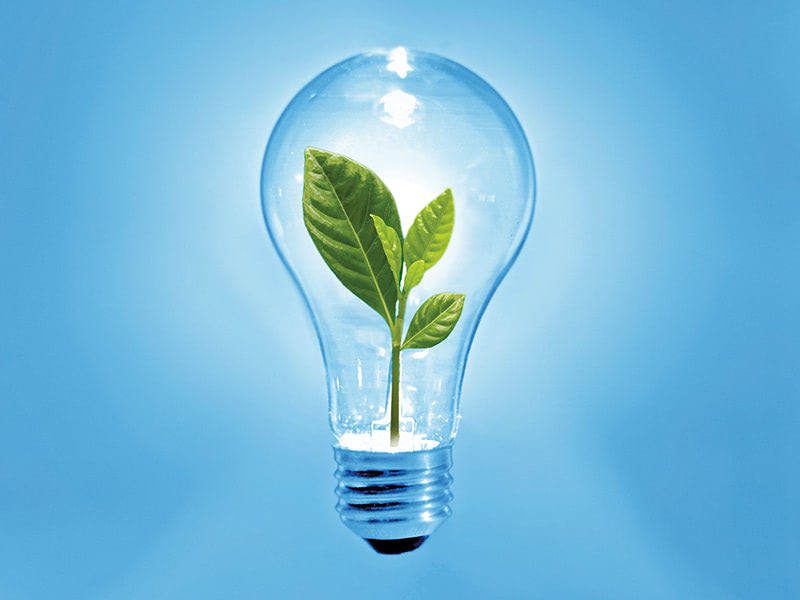 A small, green leafy plant growing inside a clear, glowing incandescent light bulb against a blue background.