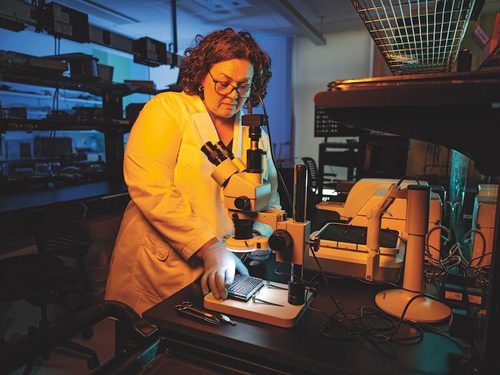 Kim Samkoe at work in the lab